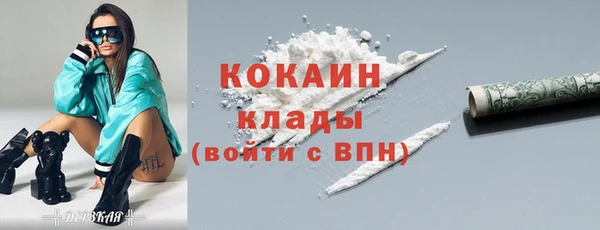 СК Бородино