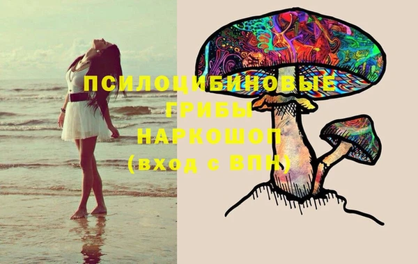 мяу мяу мука Бронницы