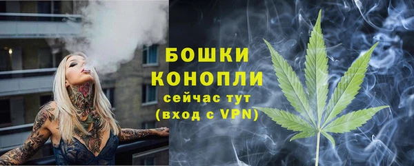 СК Бородино