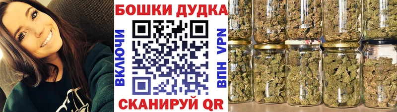 Бошки марихуана гибрид  Купить закладки  Лахденпохья 